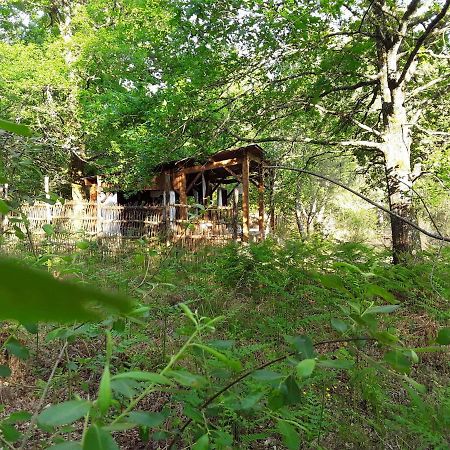 Bed and Breakfast Les Landines Origne  Экстерьер фото