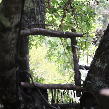 Bed and Breakfast Les Landines Origne  Экстерьер фото